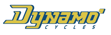 Dynamo Cycles